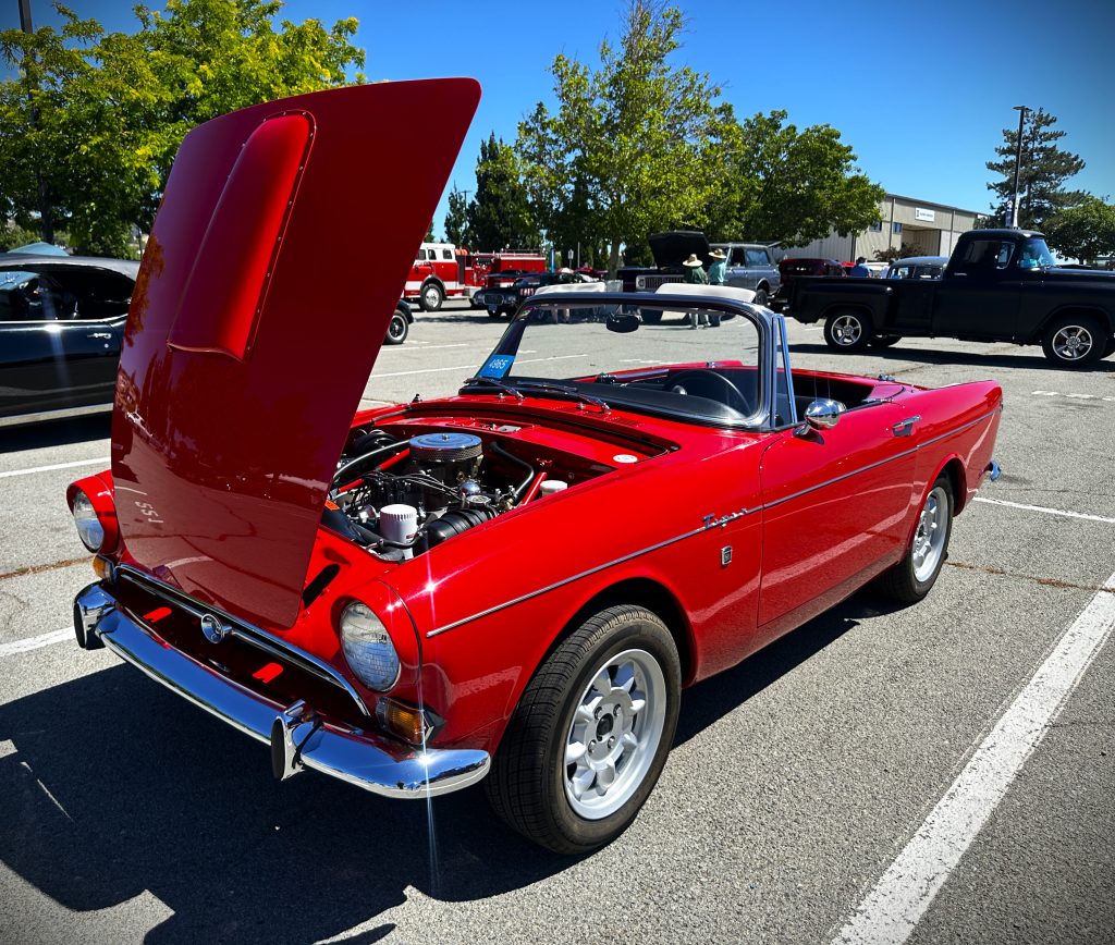 red sunbeam tiger