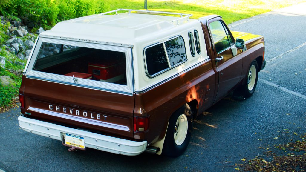 vintage chevy truck on a small wooded road, rear view