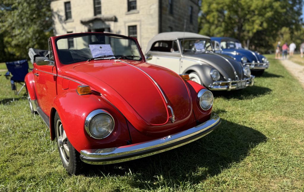 row of vintage volkswagen VW beetles