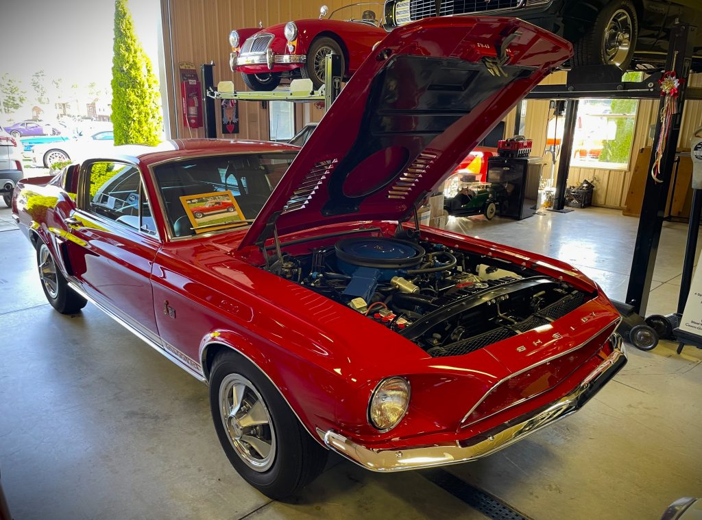 ford Shelby gt500 KR King of the Road