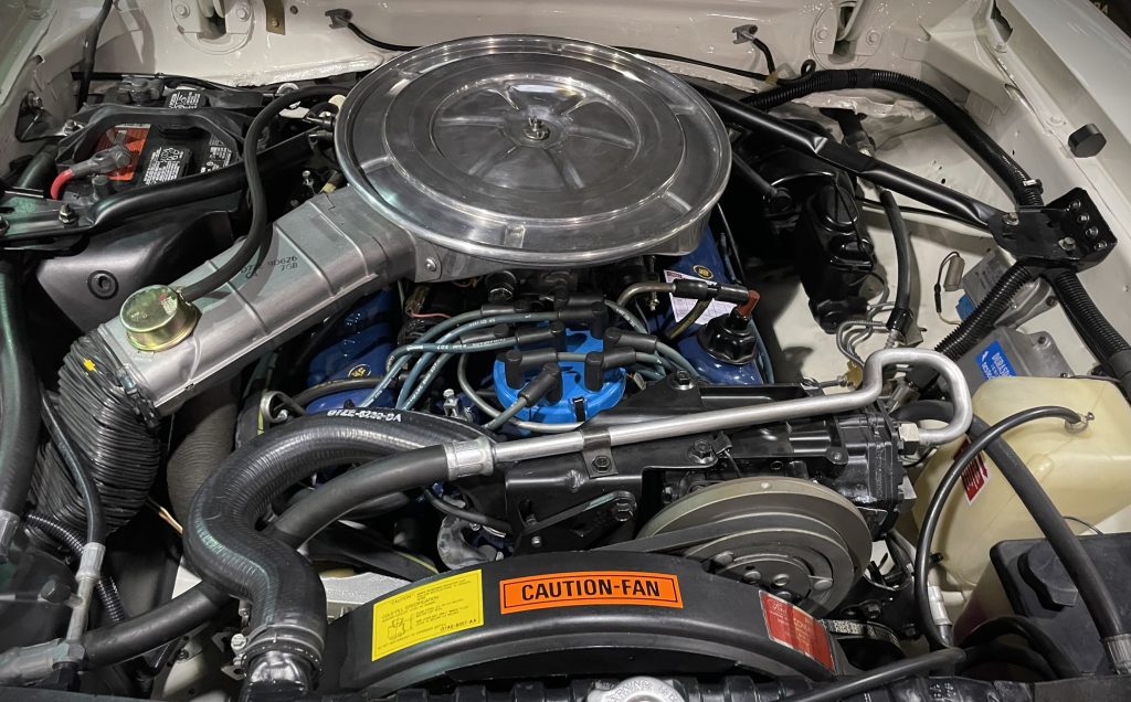 Ford 302 5.0L V8 in a Mustang II King Cobra