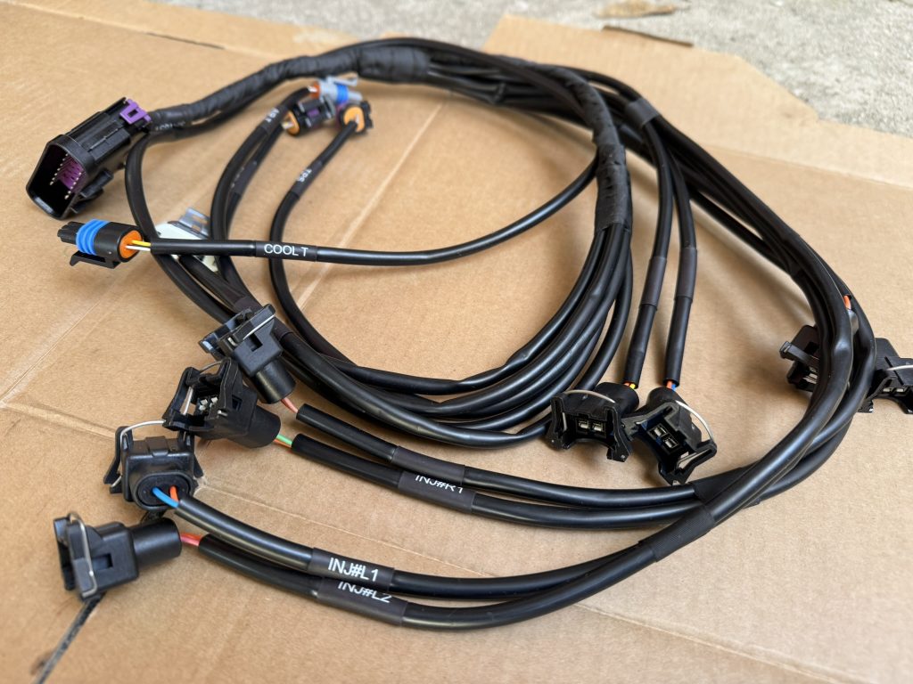 EFI system wiring harness